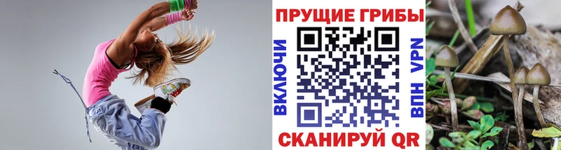 Купить закладки  Новороссийск  Галлюциногенные грибы прущие грибы 